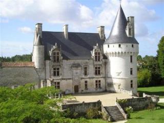 Chateau De Crazannes Eksteriør billede