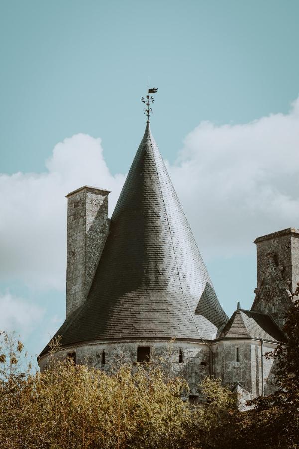 Chateau De Crazannes Eksteriør billede