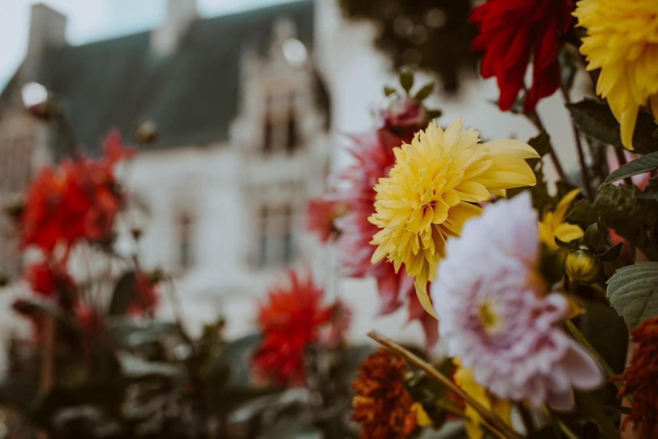 Chateau De Crazannes Eksteriør billede